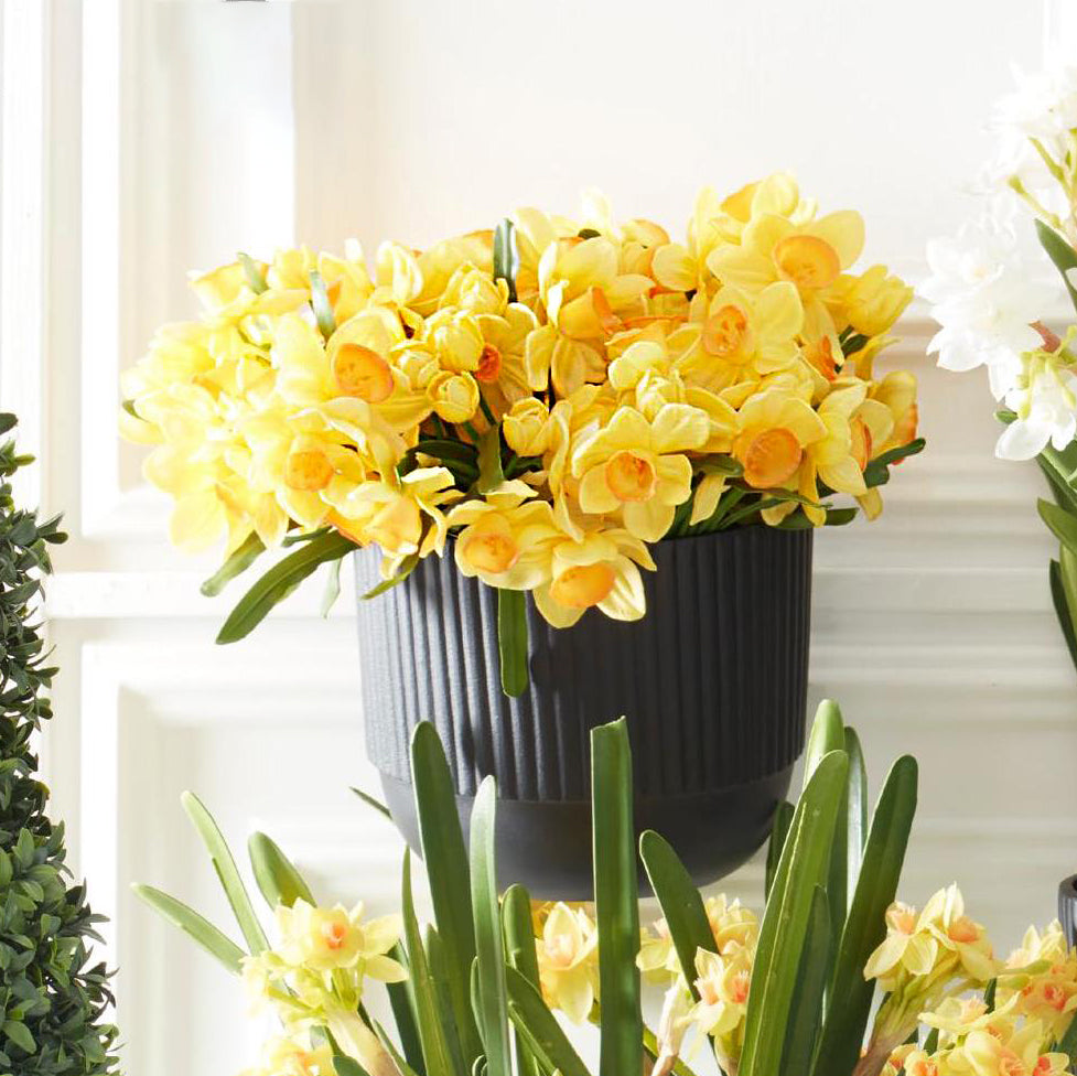 Ramo De Narcisos Amarillos