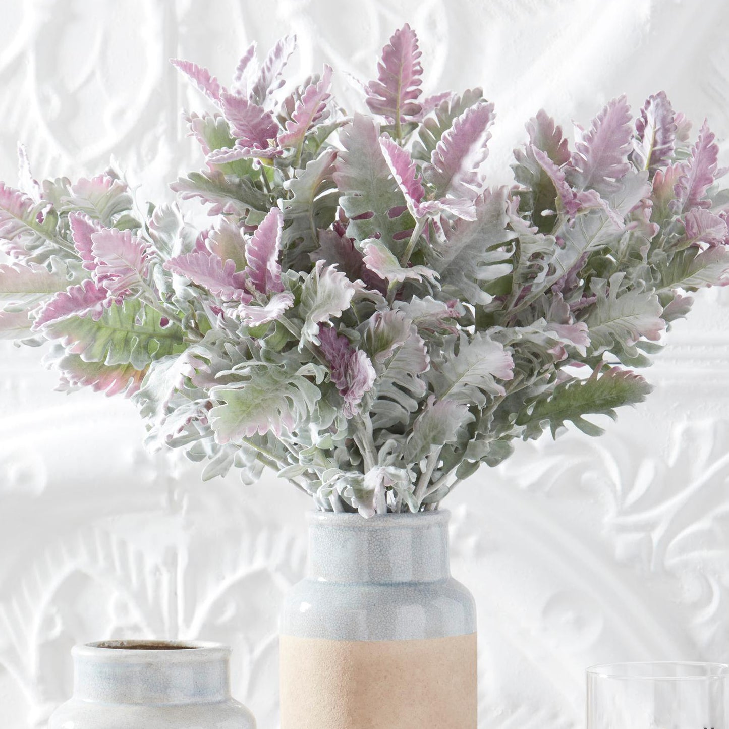 Rama dusty miller color verde/lavanda