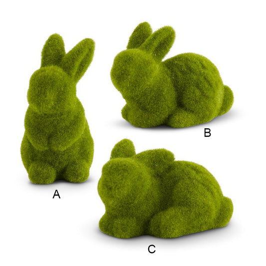 Conejitos De Musgo
