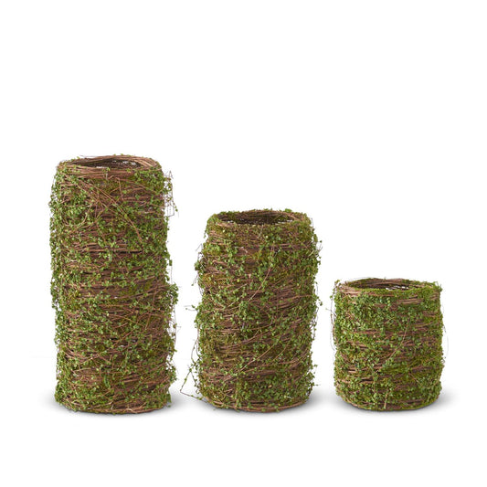 Florero De Raiz