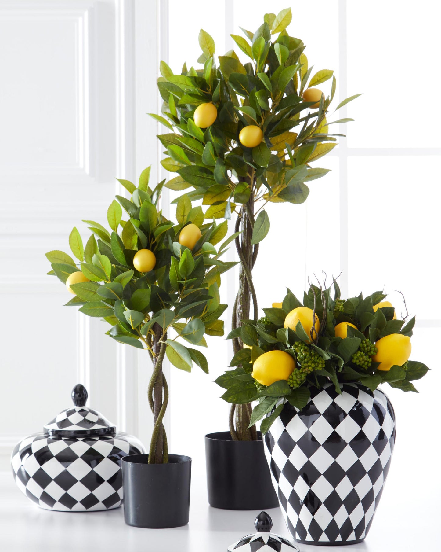 Arbol de limon en maceta
