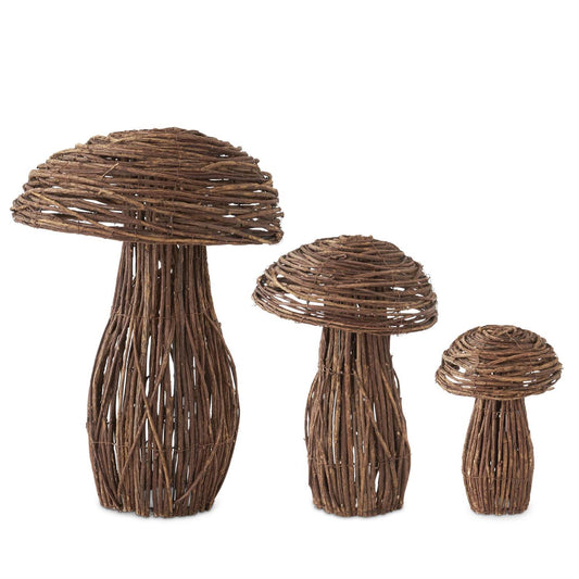 Hongos de enredadera