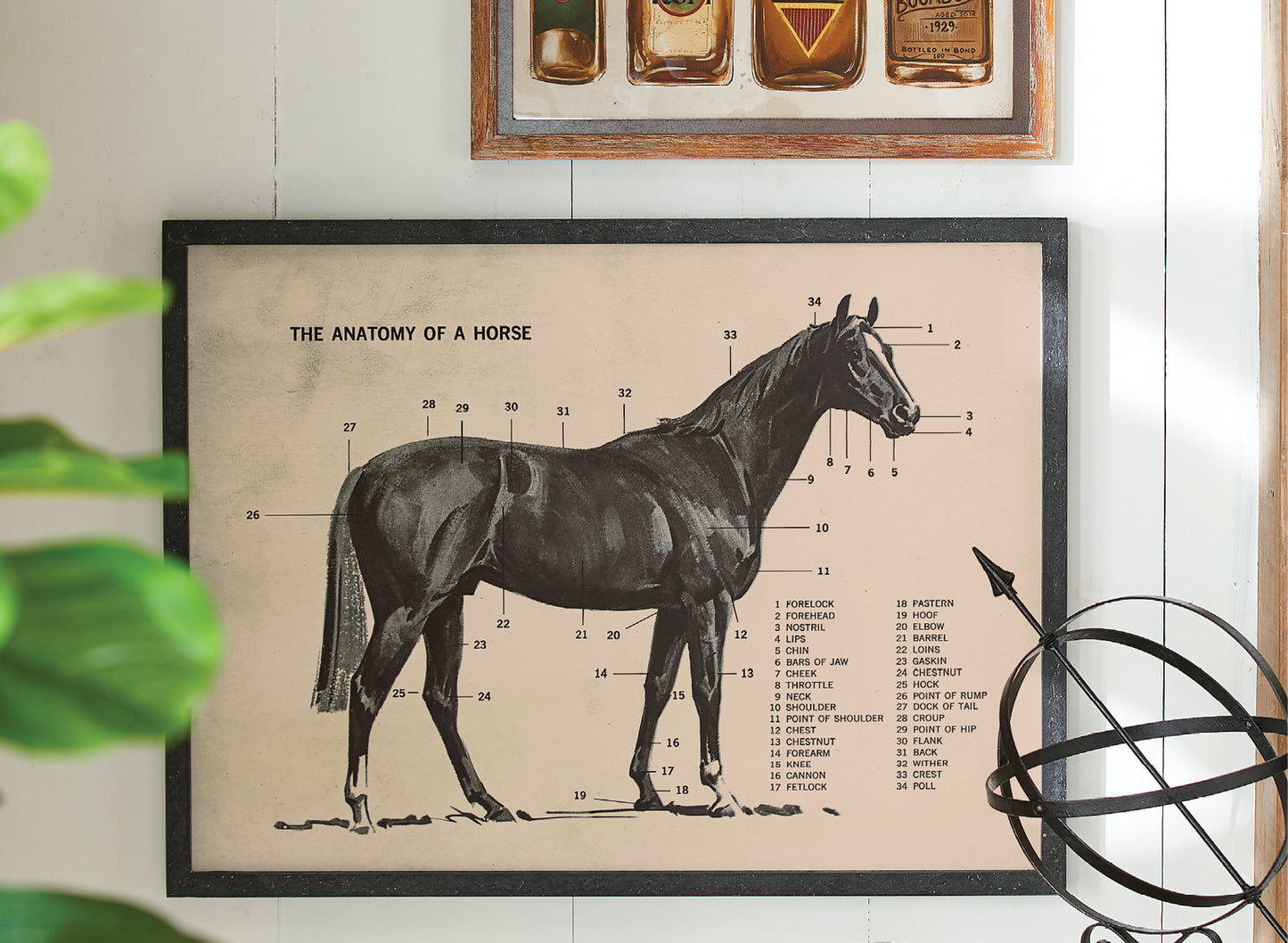 Cuadro de caballo