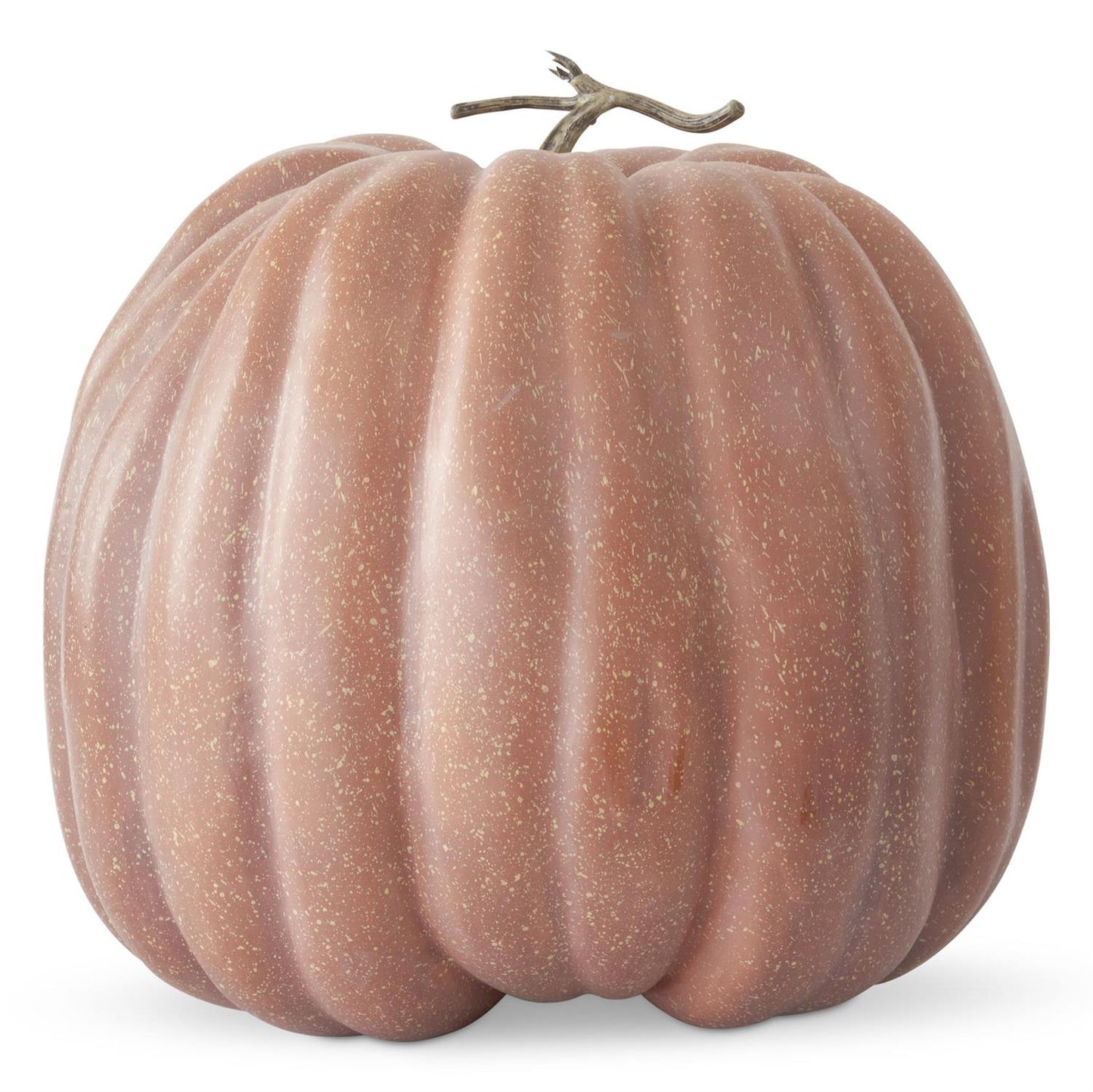 Calabaza crema 19 in