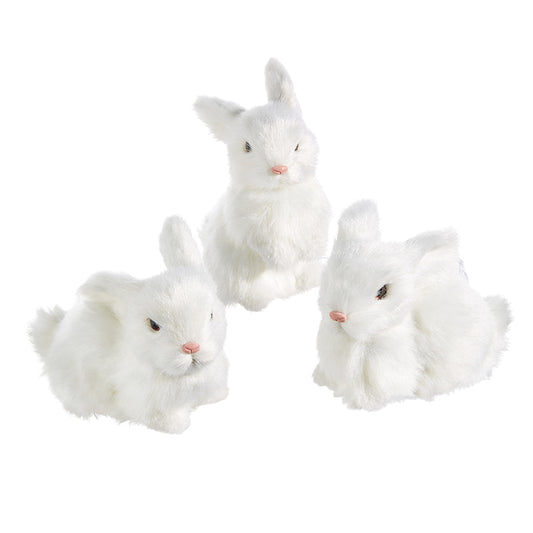 Conejos de peluche