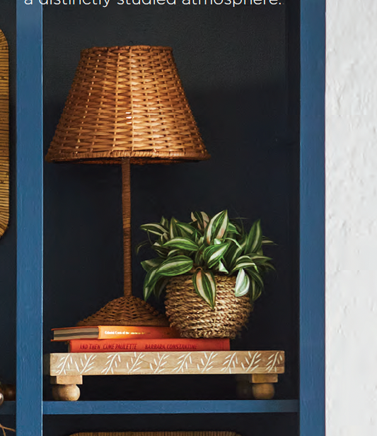 Canasta Colgante Con Planta 10In