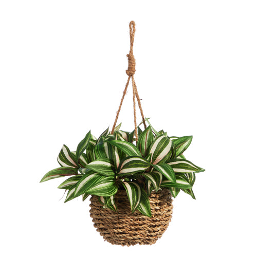 Canasta Colgante Con Planta 10In