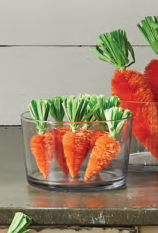 Caja De 6 Zanahorias Peq
