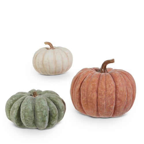 Calabazas velvet En Tonos Crema 9.5In