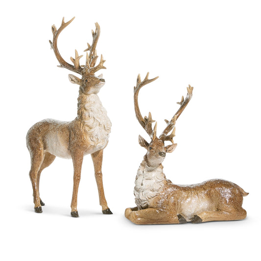 Set de venado natural 20.5in