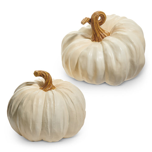 Calabaza Crema 7.5In