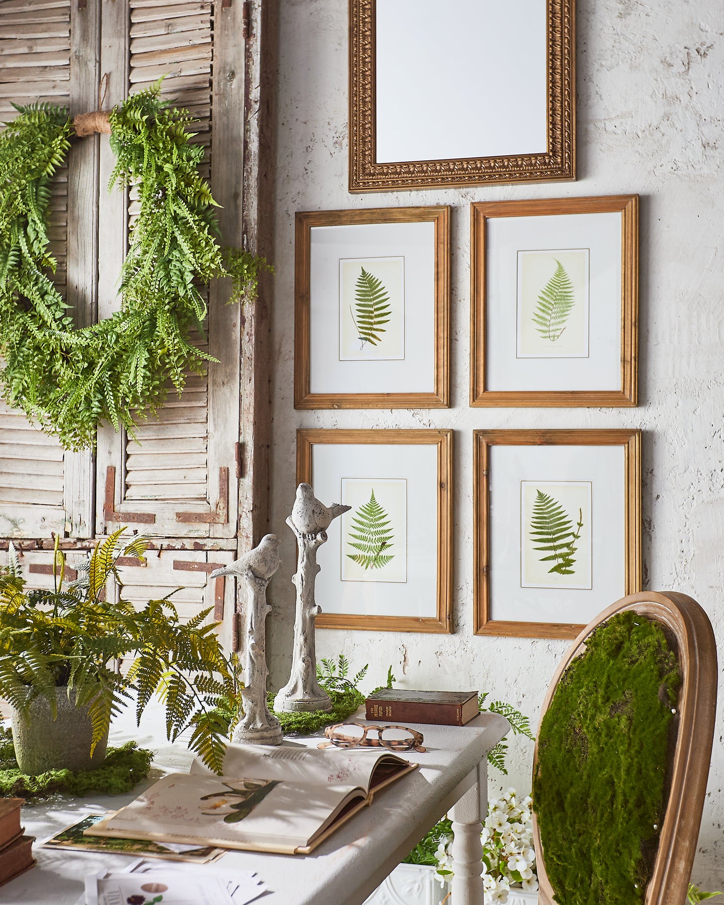 Maceta De Helecho 24In