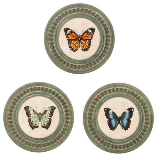 Cuadros redondos de mariposa