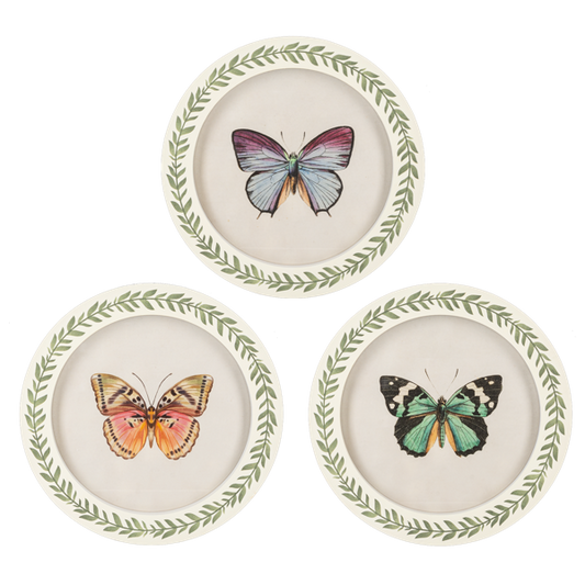 Cuadro redondo de mariposa