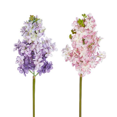 Flores lilac