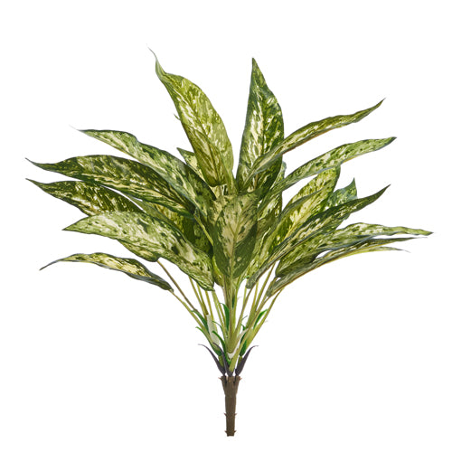 Rama arbusto reina plateada