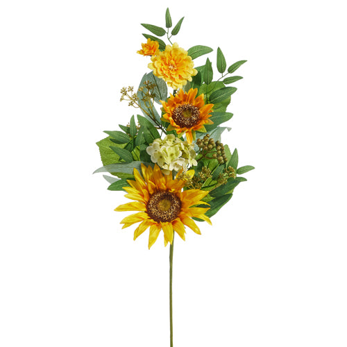 Rama de girasol y hojas