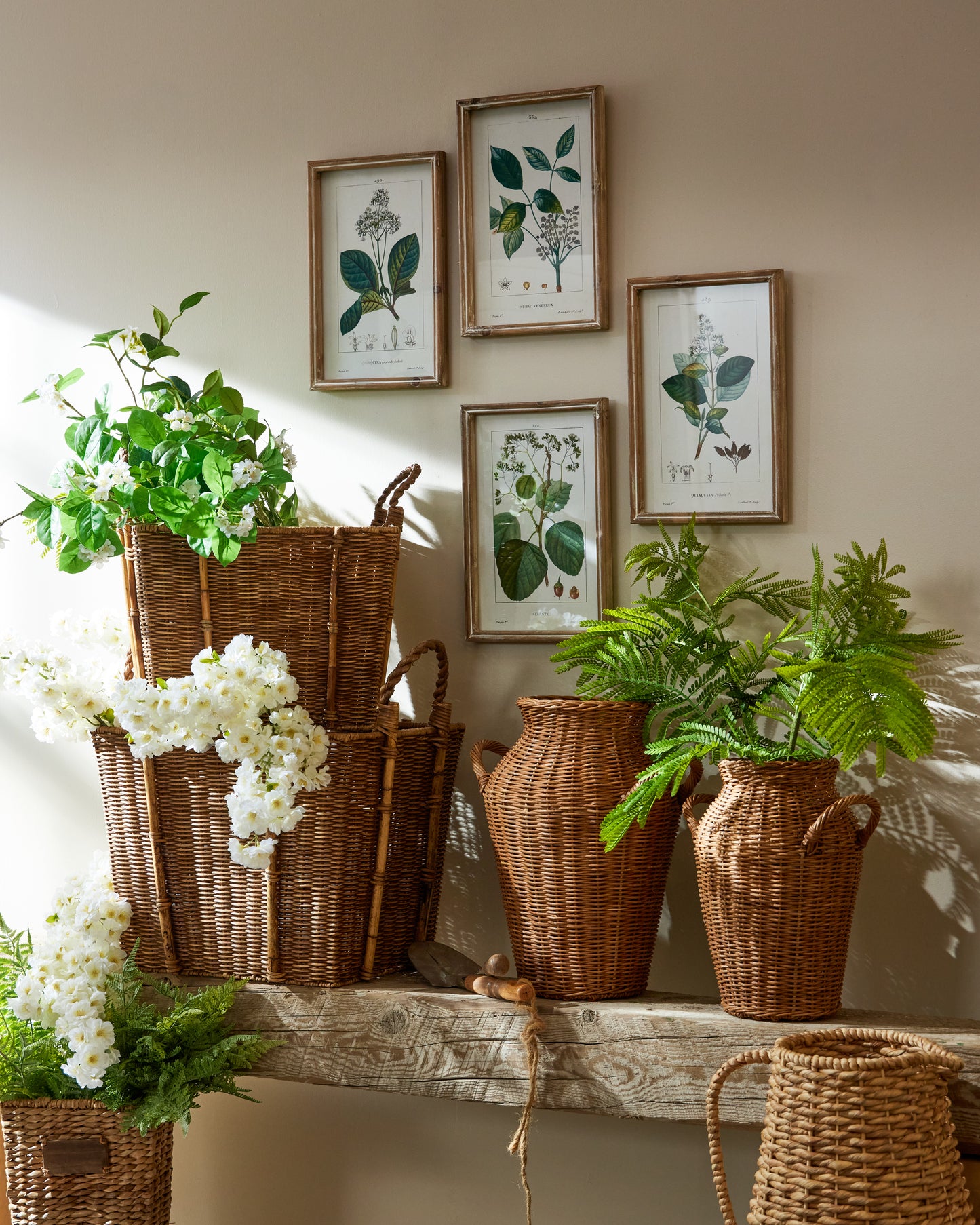 Rama De Helecho Moderno