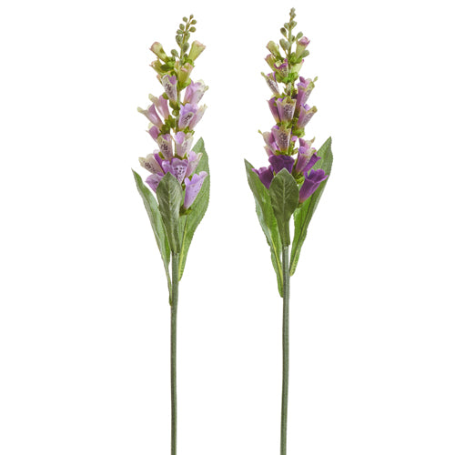 Rama De Foxglove Lila Morado
