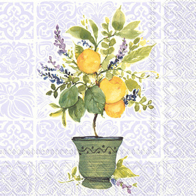 servilletas cuadradas con arbol de limón
