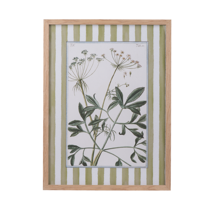 Cuadros de flores con lineas verdes