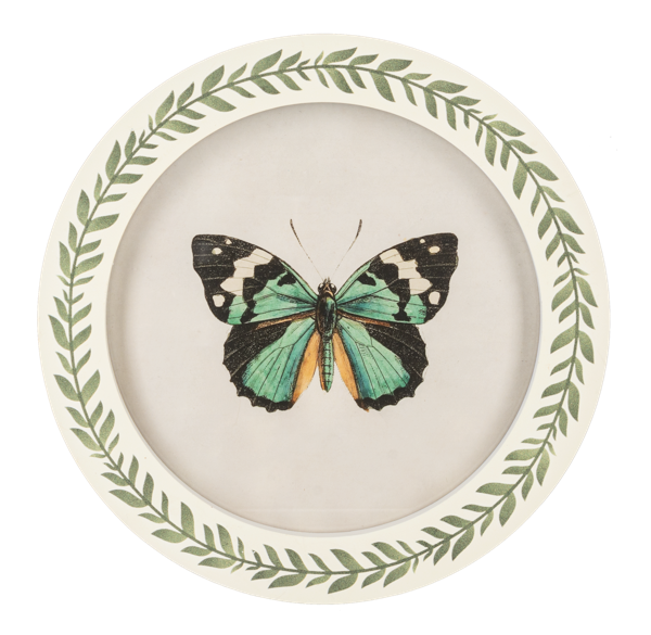 Cuadro redondo de mariposa