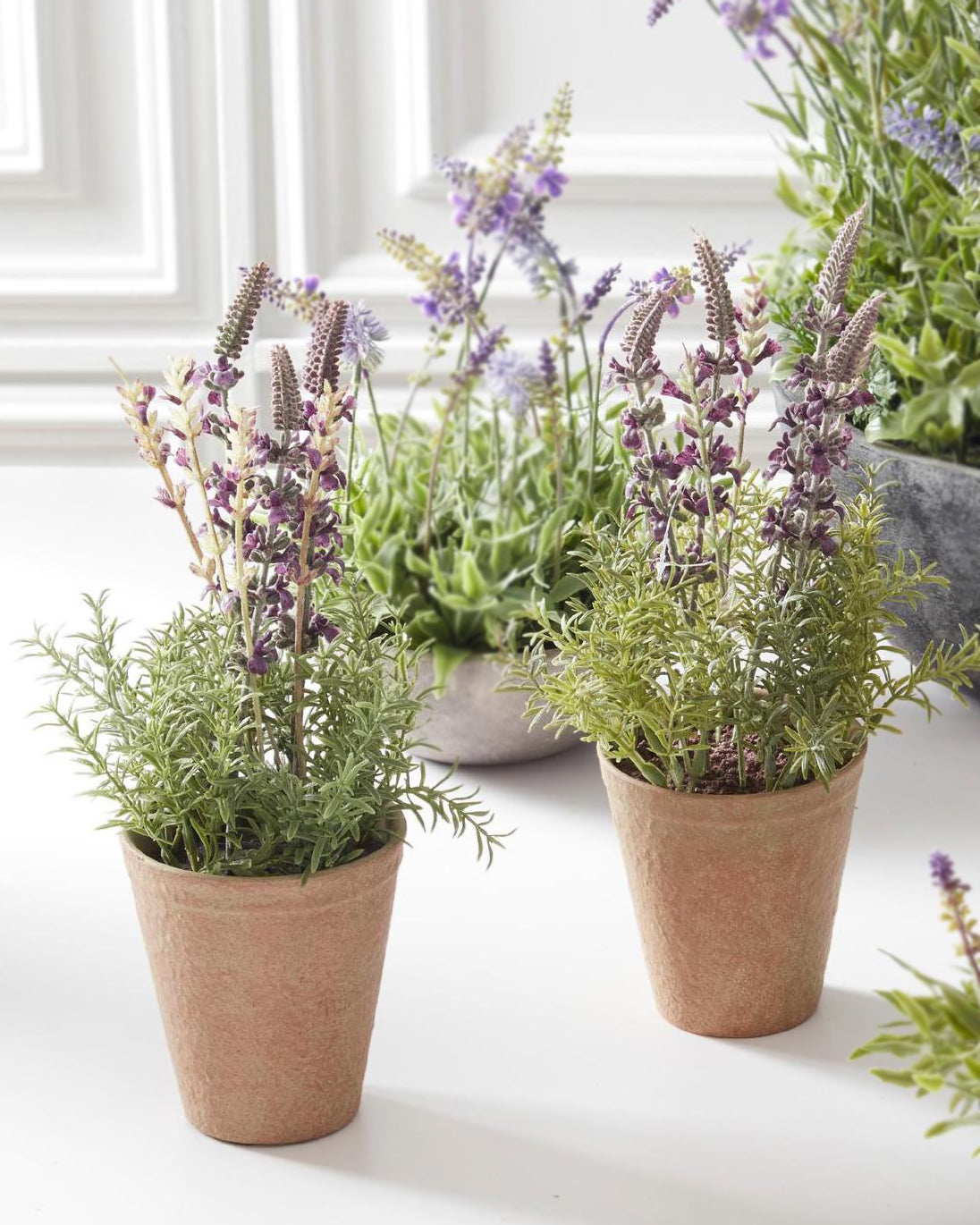 Maceta De Lavanda 12.5In