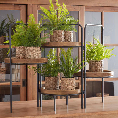 Display De Cuatro Bases De Madera