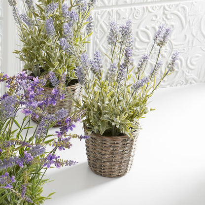 Lavanda morada en canasta 17 in