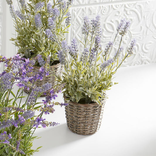 Lavanda morada en canasta 17 in
