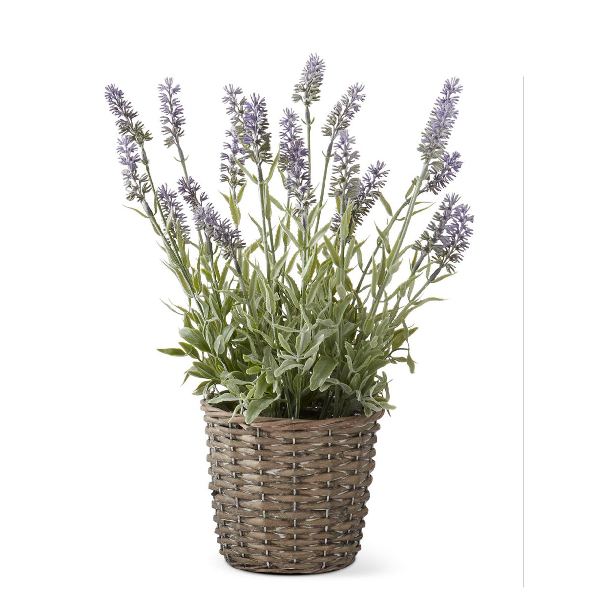 Lavanda morada en canasta 17 in