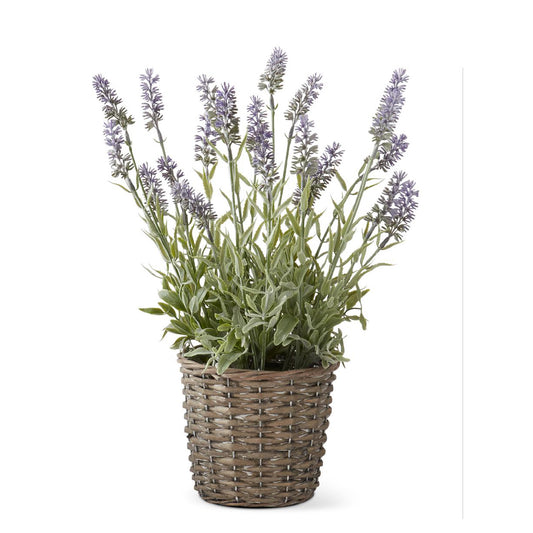 Lavanda morada en canasta 17 in