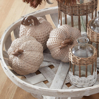 Calabazas De Resina Beige Texturizadas
