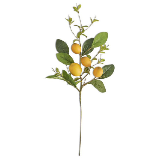 Rama de limon y follaje 28 pulgadas