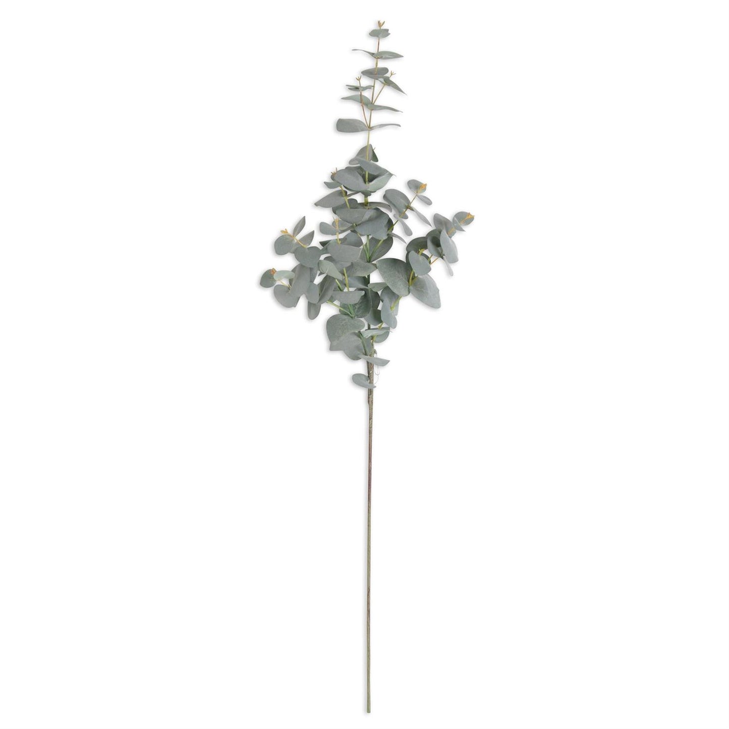 Rama de eucalipto verde 38.5 pulgadas
