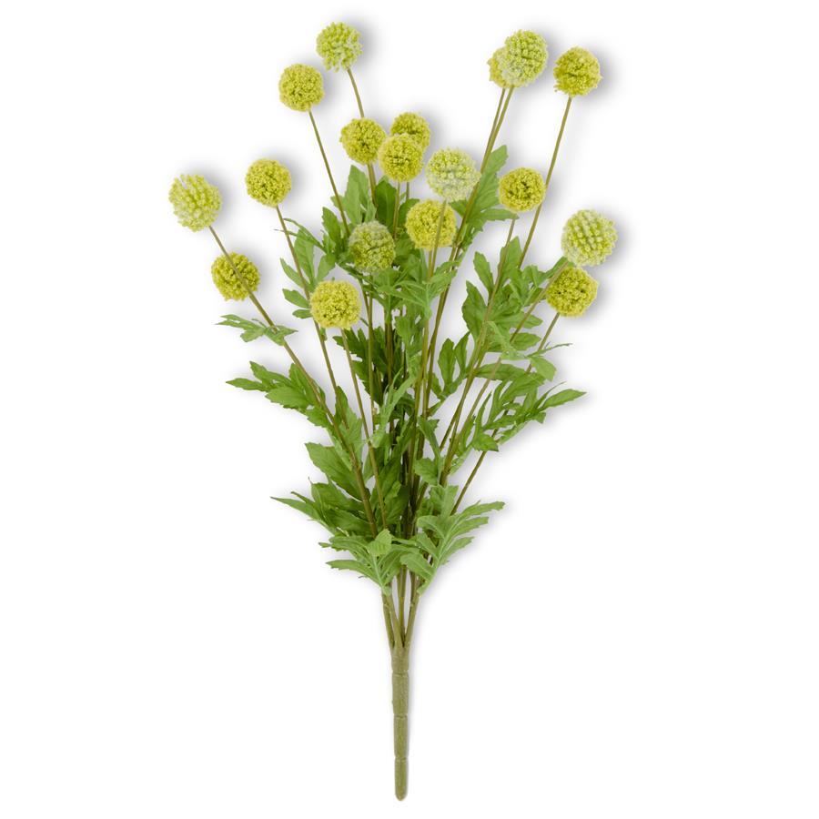 Rama de mini allium verde 22 pulgadas