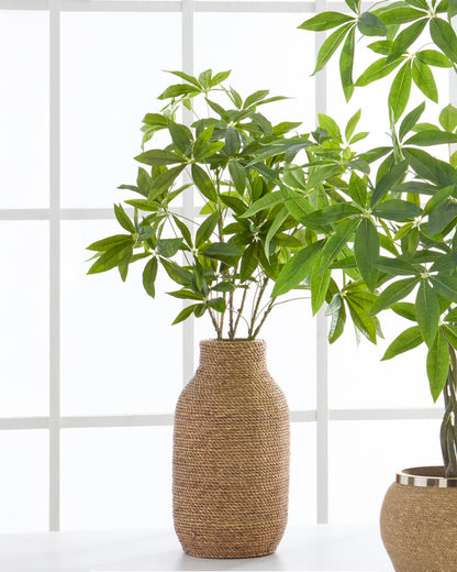 Rama money tree 36 pulgadas