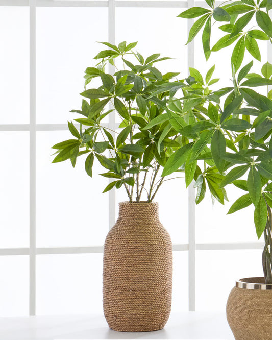 Rama money tree 36 pulgadas