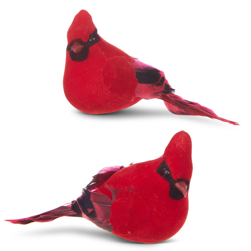 Cardinales con clip 5.5in