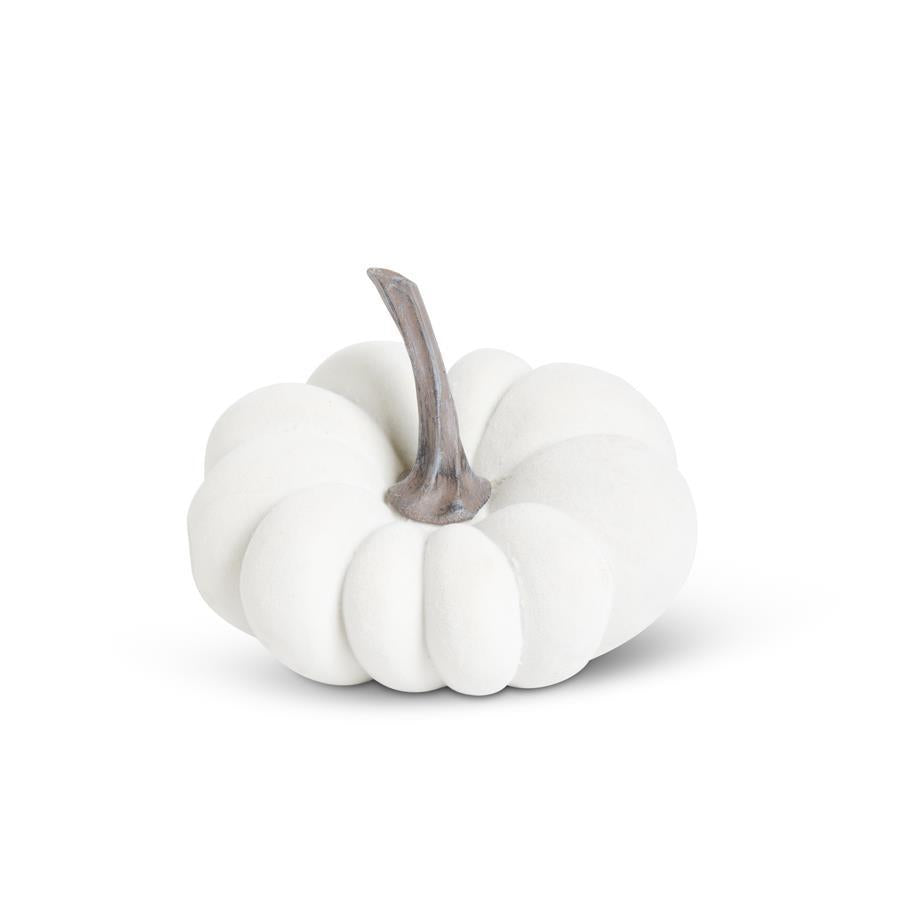 Calabaza blanca pequeña