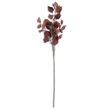 Eucalipto Silver Dollar De 96 Cm