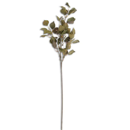 Eucalipto Silver Dollar De 96 Cm