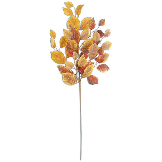 Rama hojas abedul amarillo dorado y —xido 34 in