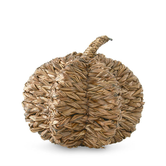 Calabaza junco papiro cafe 7 in
