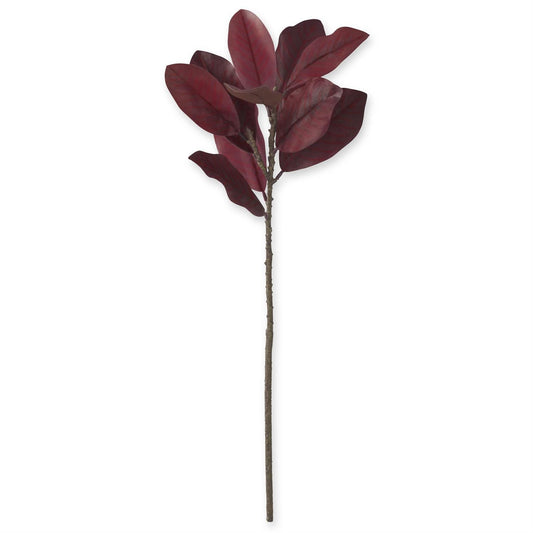 Rama magnolia corinto 32 in