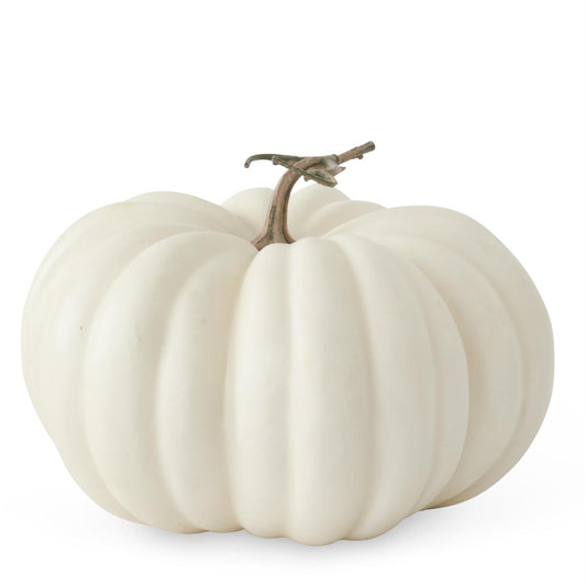 Calabaza crema 7.75 in