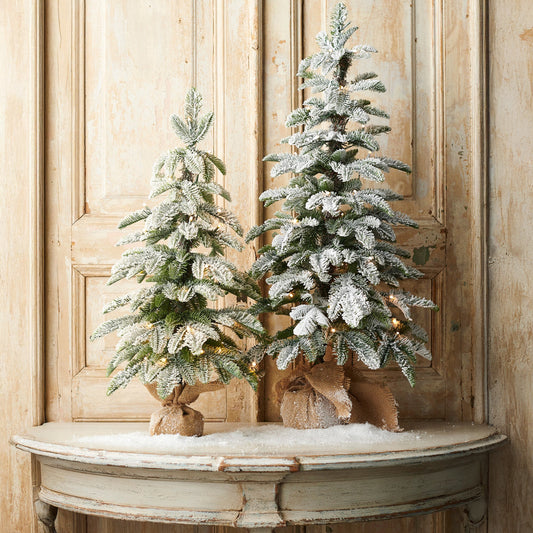 Arbol nevado iluminado en bolsa 36in