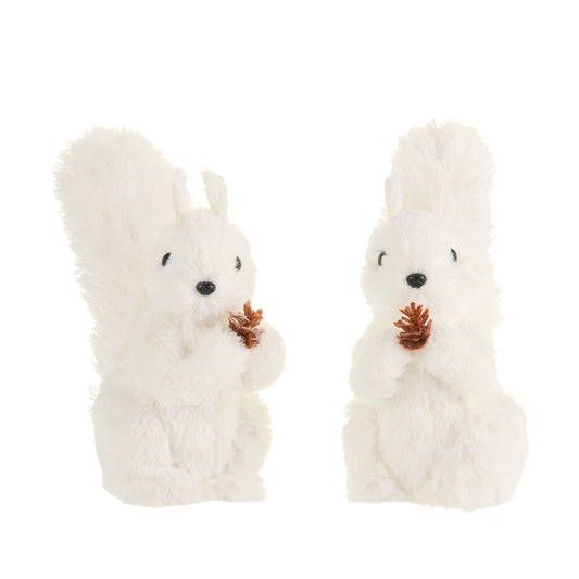 Ardilla blanca 9.5in