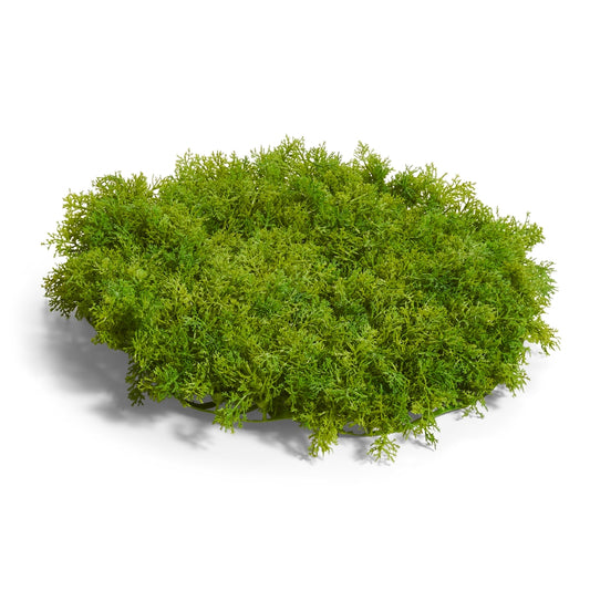 Tapete de musgo 13 pulgadas