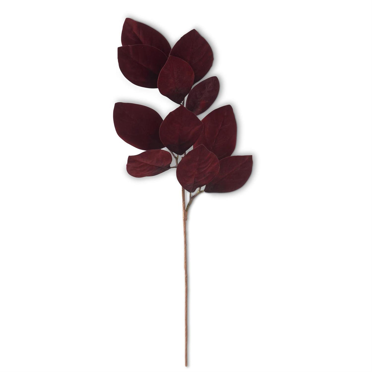 Rama hojas magnolia terciopelo corinto 33 in